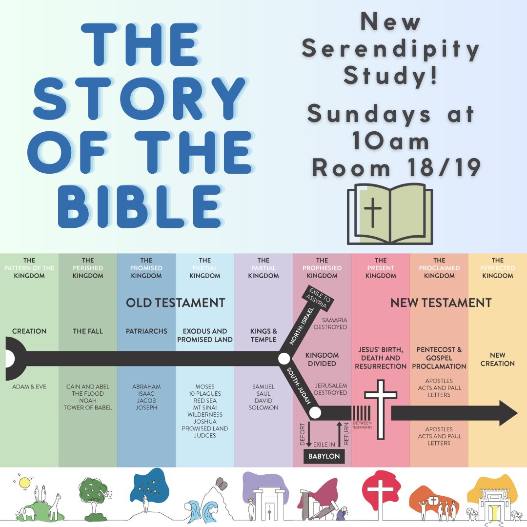 New Serendipity Study - The Story of the Bible